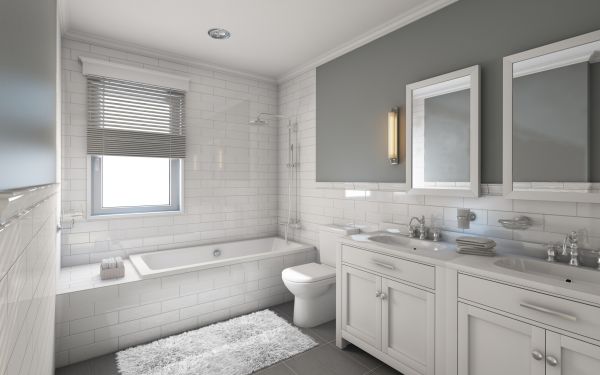 Bathroom Conversion Service