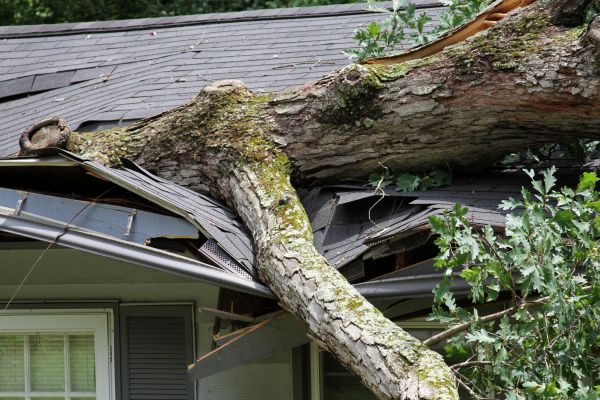 Emergency Storm Repair
