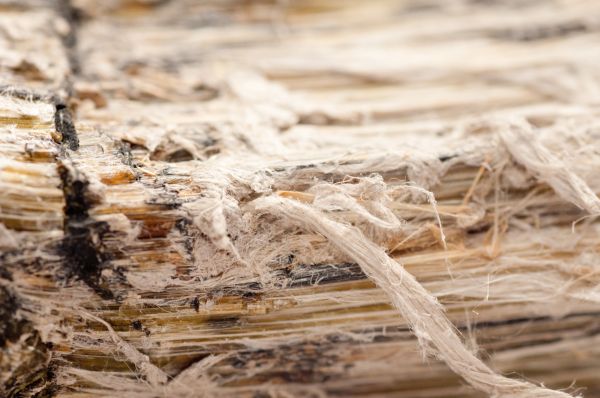 Vermiculite Insulation Removal