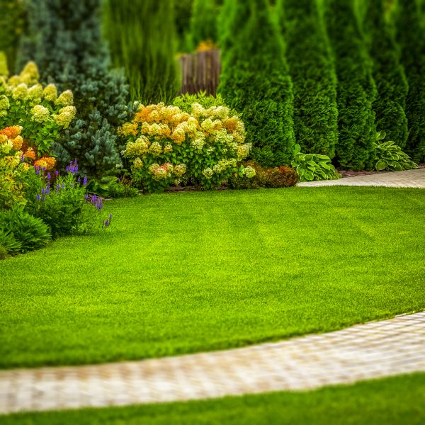 Exterior Property Care