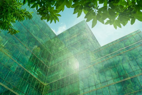 Green Building Construction