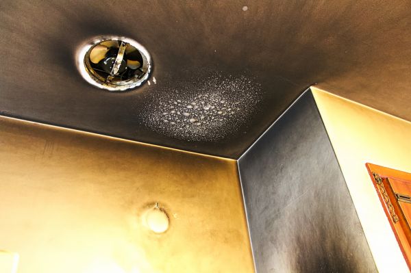 Fire And Smoke Damage Repair