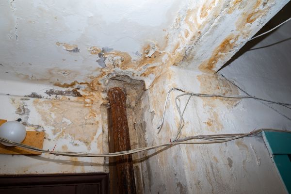 Basement Water Mitigation
