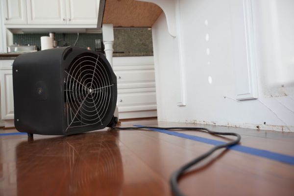 Contents Restoration Service