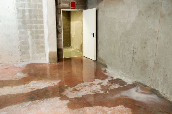 Basement Flood Remediation