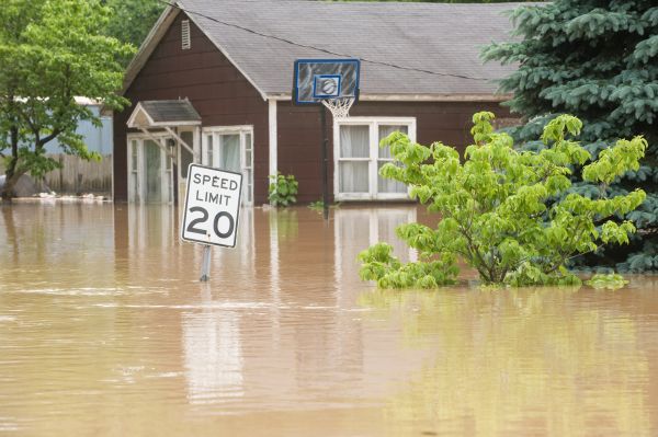 Emergency Storm Cleanup