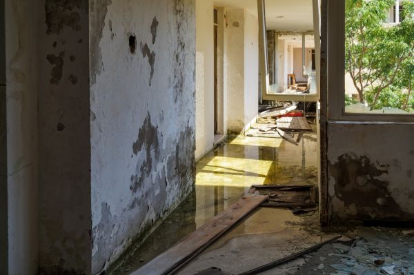 Basement Water Removal