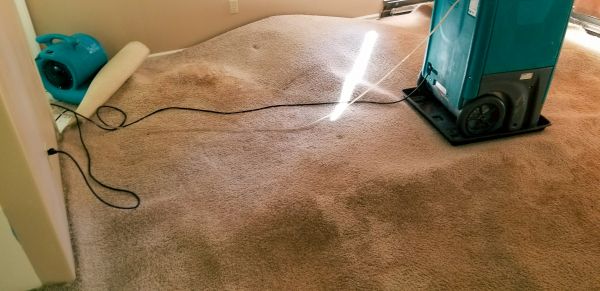 Basement Water Cleanup