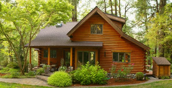 Cabin Building
