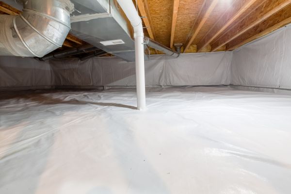Crawl Space Assessment