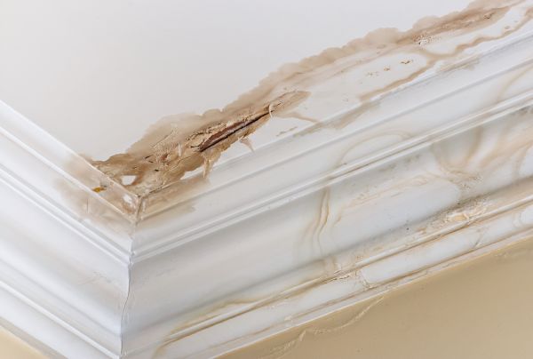 Flood Damage Repair