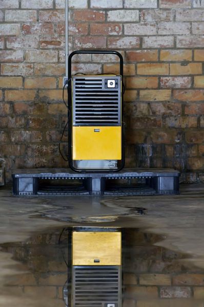 Basement Dehumidifier Service