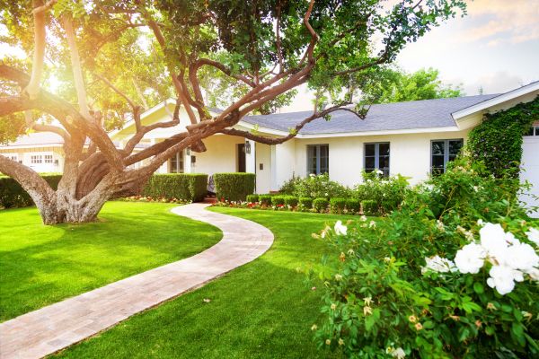 Property Extension