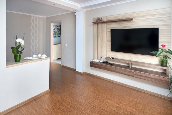 Attic Ceiling Repair