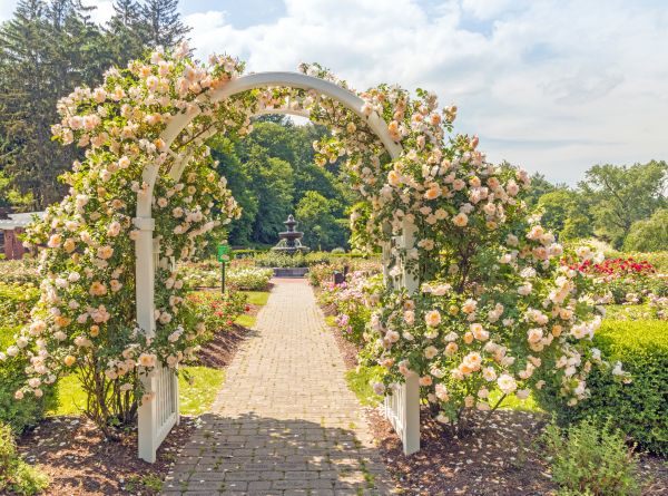 Archway Installation