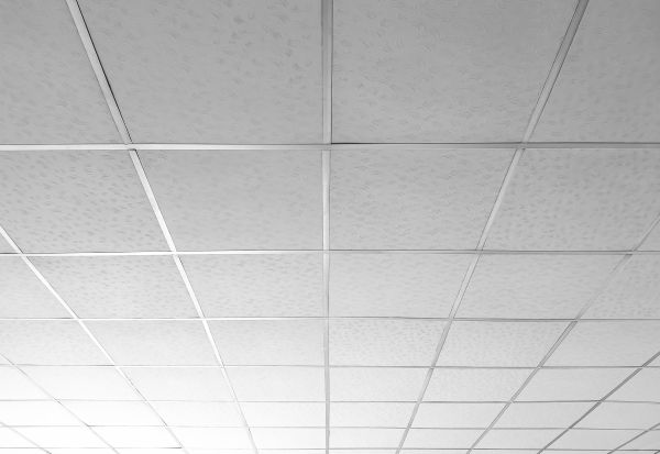 Office Ceiling Assembly