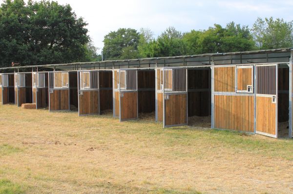 Equine Structure Construction