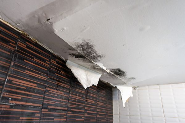 Attic Access Creation