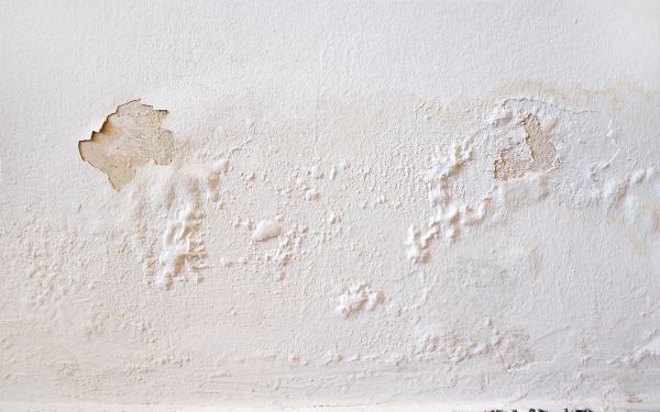 Moisture Remediation