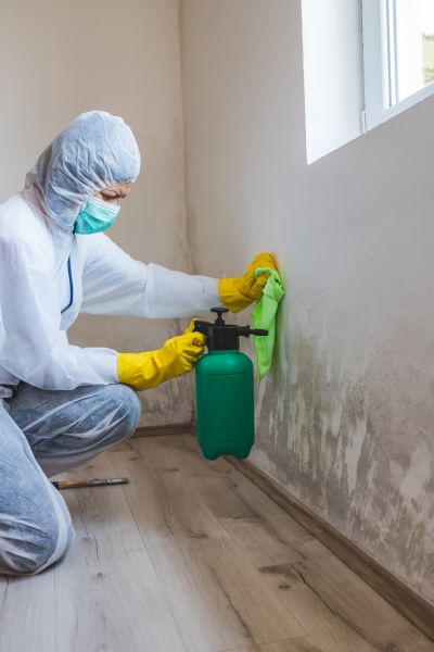 Basement Dehumidifier Service