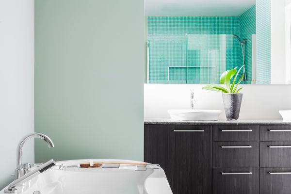 Bathroom Wall Construction