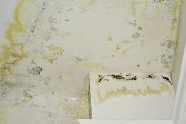 Water Damage Restoration