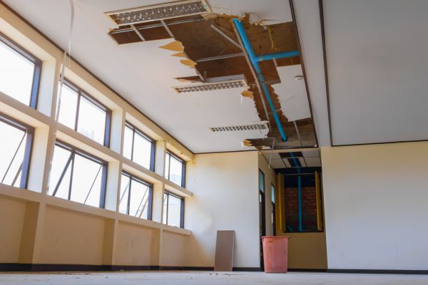 Drop Ceiling Removal